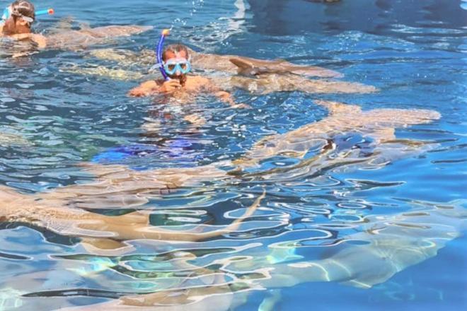 Unwind Dhigurah Hotell Dhigurah  Exteriör bild