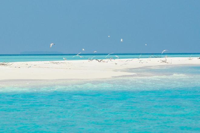 Unwind Dhigurah Hotell Dhigurah  Exteriör bild