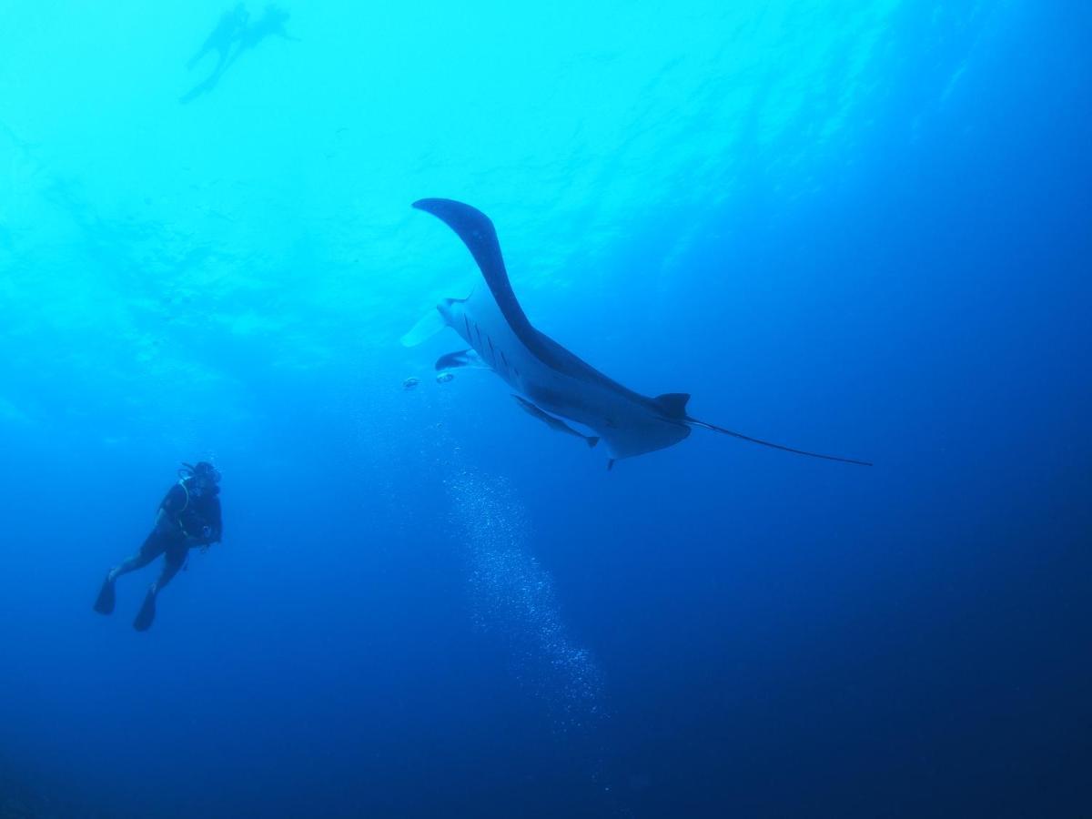 Unwind Dhigurah Hotell Dhigurah  Exteriör bild