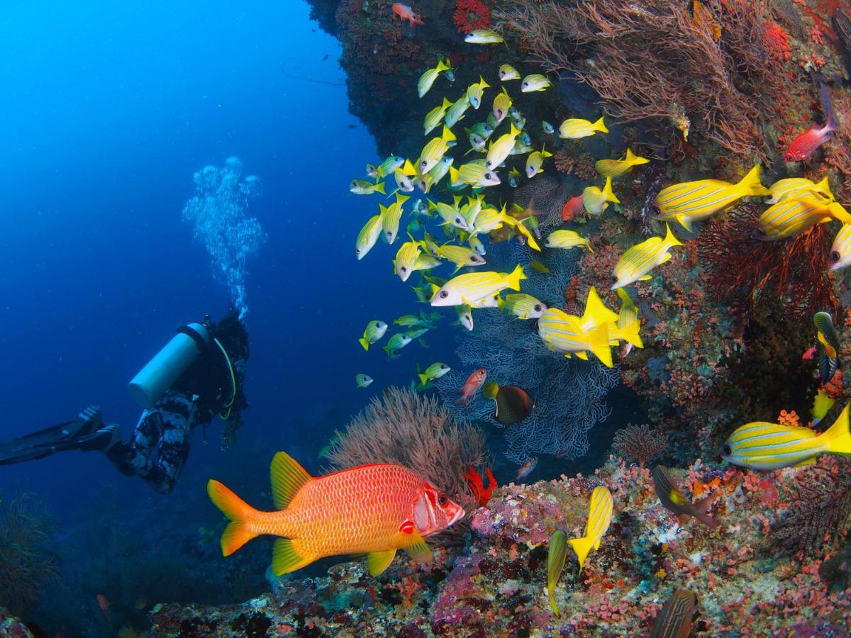 Unwind Dhigurah Hotell Dhigurah  Exteriör bild